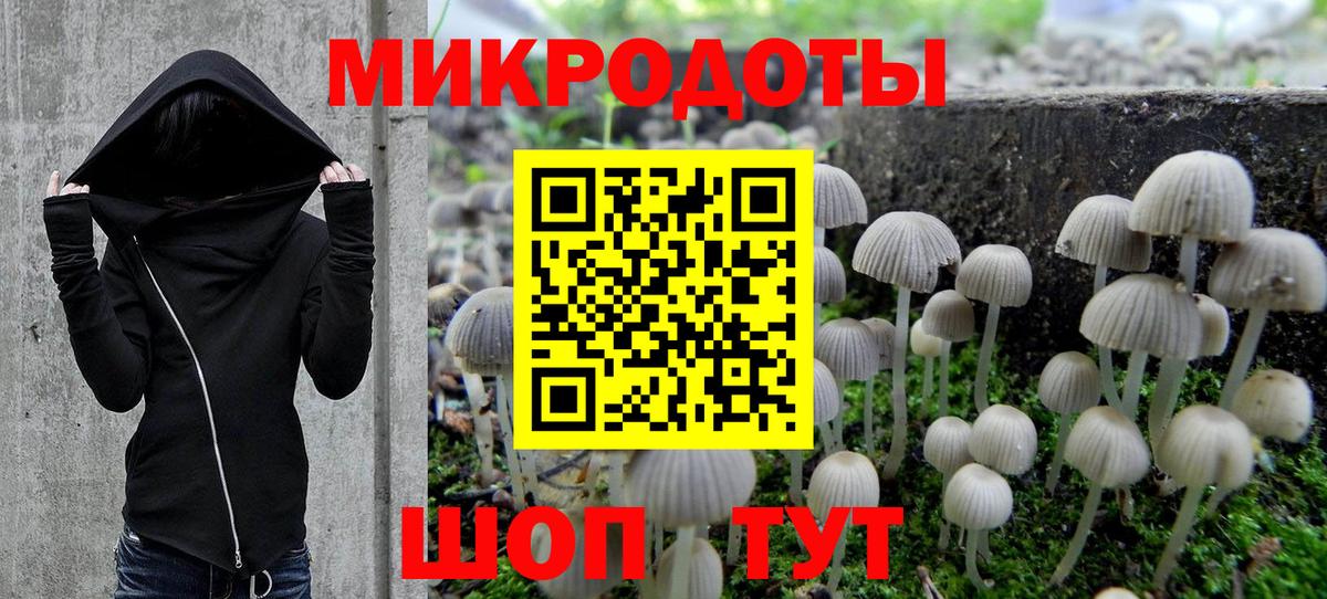 Галлюциногенные грибы Psilocybine cubensis Ангарск