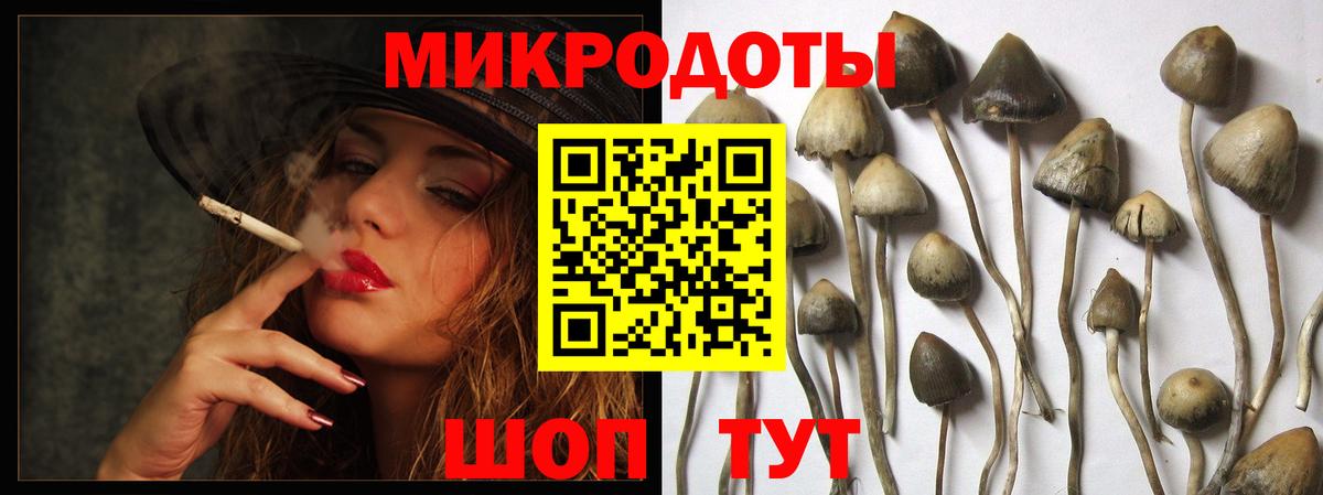 Галлюциногенные грибы Magic Shrooms  Вход с VPN  Ангарск 